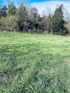 Bob Wright Rd LOT 43, Maynardville, TN, 37807