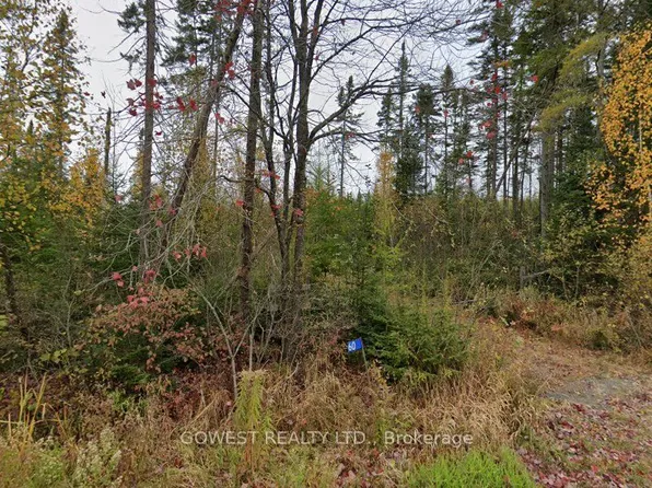 60 Stahls Rd, Huntsville, ON P1H 2J4