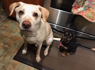 27 Pemigewasset Cir, Derry, NH 03038