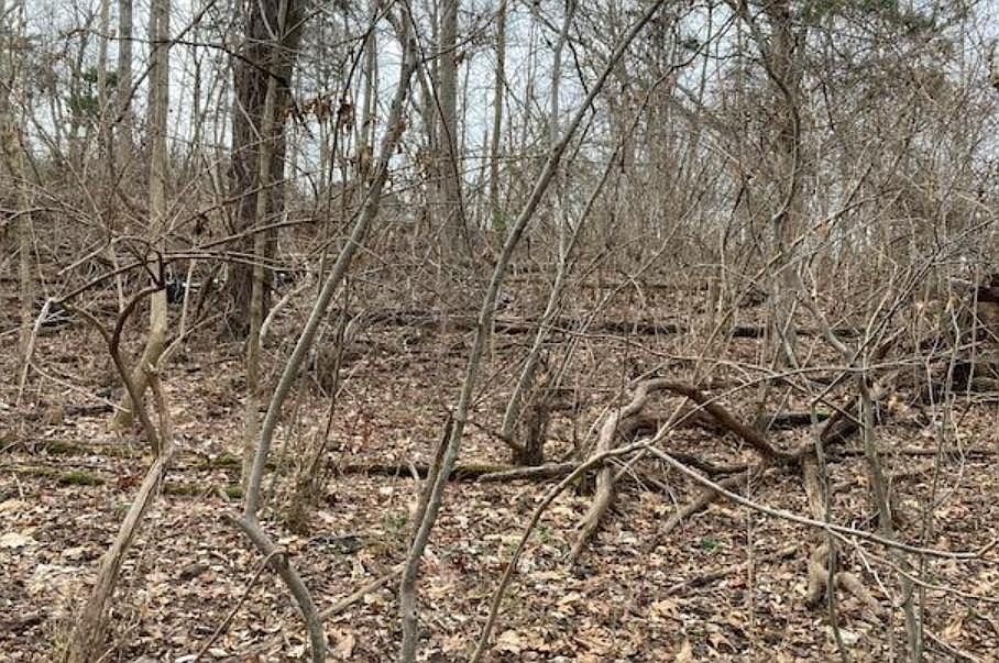 1st image of 0 Locust Grove Rd