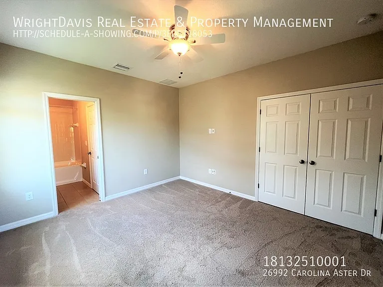 26992 Carolina Aster Dr — Photo 18