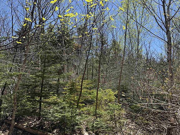 5th image of Marble Mountain Rd Lot 22