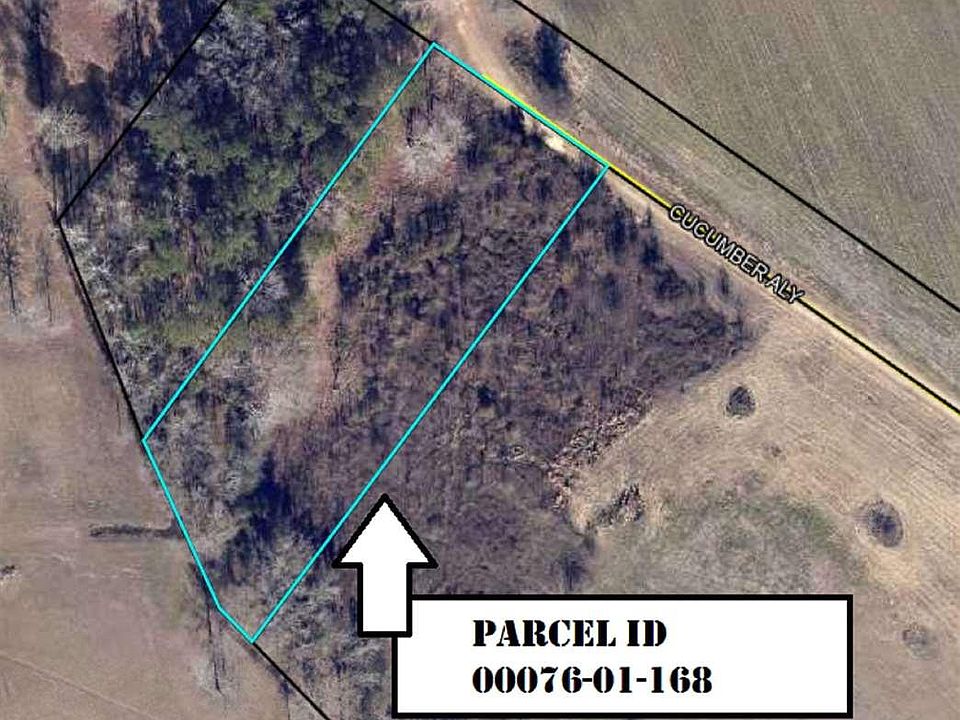 2nd image of Cucumber Aly