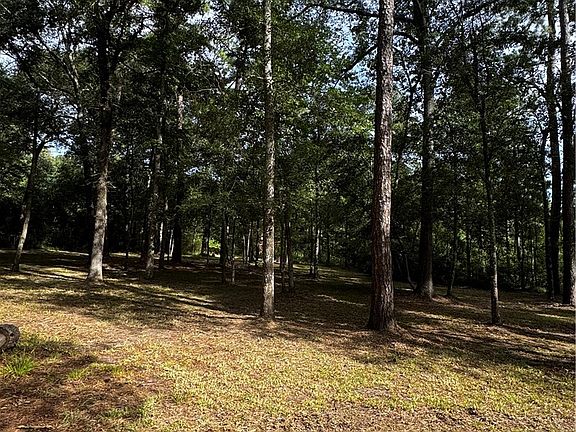 3rd image of 15728 Goldenrain Ln