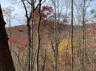 L334-335 Brushy Top Rd, Ellijay, GA 30540