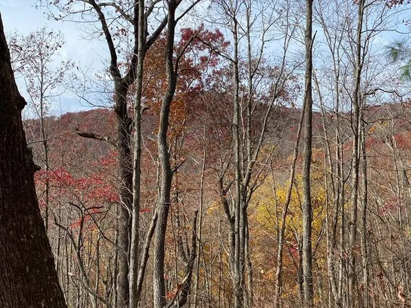 L334-335 Brushy Top Rd, Ellijay, GA 30540