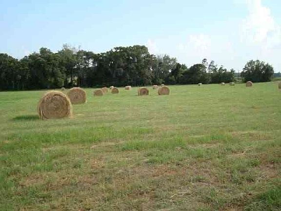 4th image of 14024 Hwy 64 W