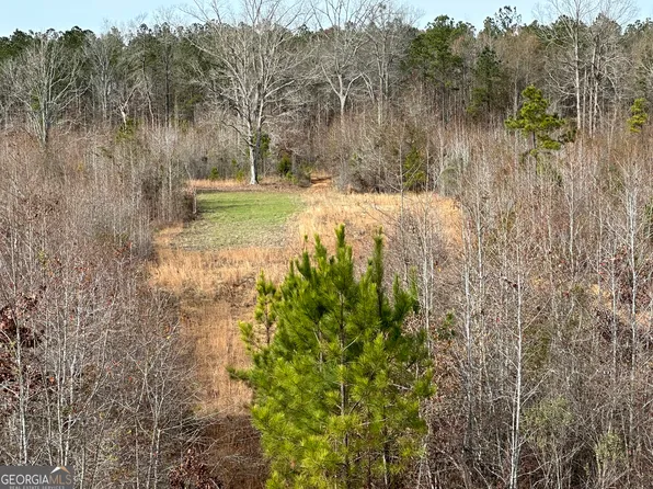 0 State Highway 208, Talbotton, GA 31827