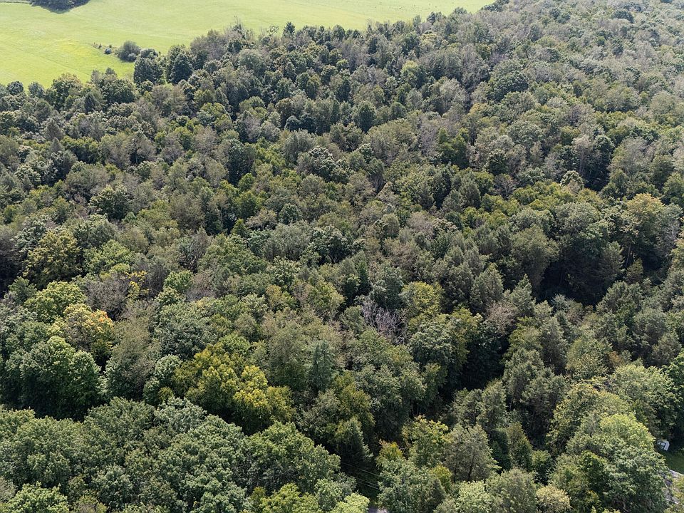 2nd image of 0 Hollow View Rd