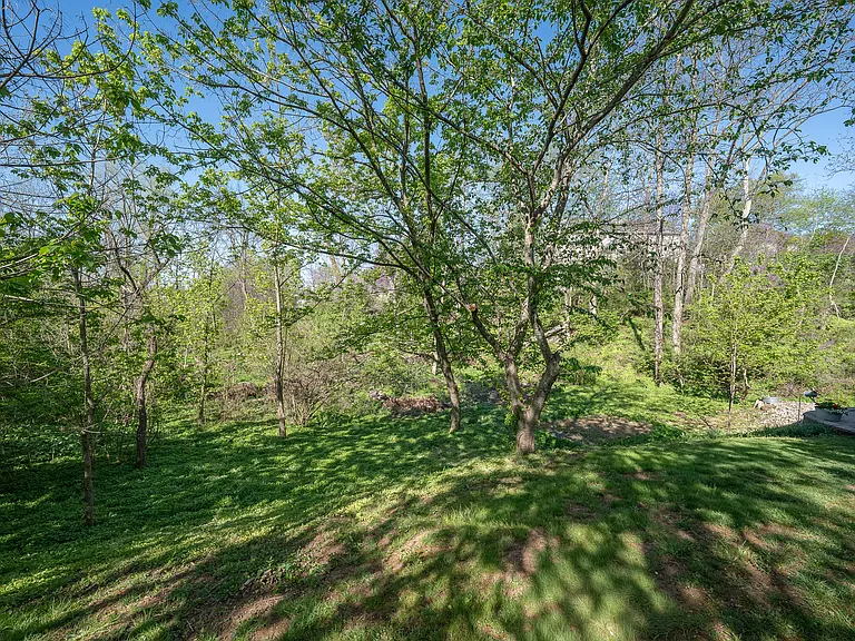 903 Maplewood Dr — Photo 62