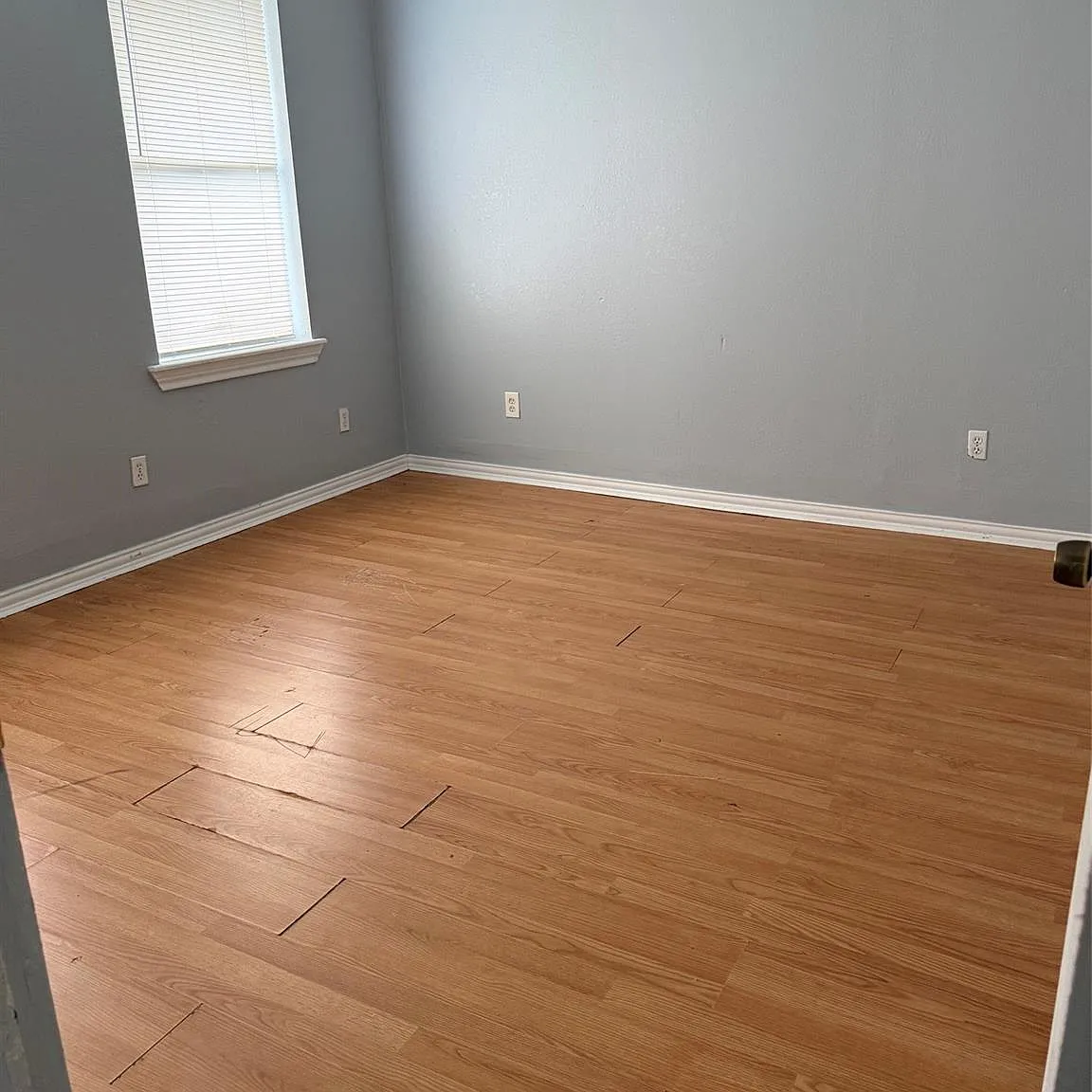 3 bed, 2.0 bath, 1320 sqft, $1,600 — Photo 4