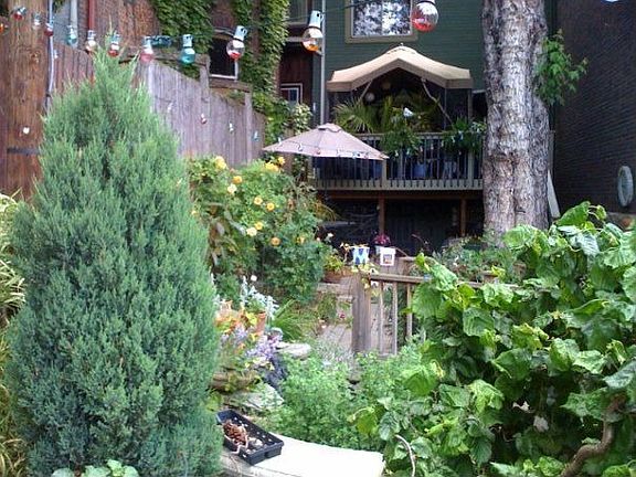garden