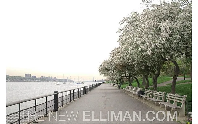 Rented by Douglas Elliman | media 35