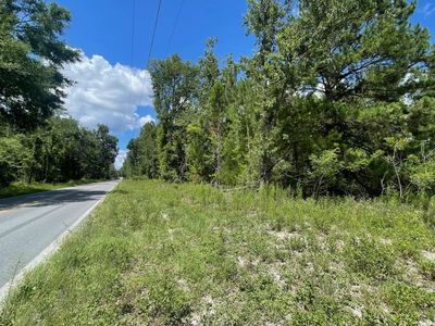 Tbd 160th Ter, McAlpin, FL, 32062