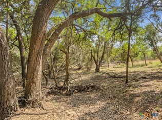 369 Onion Creek Ln, Blanco, TX 78606