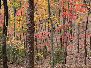 66 Yanegwa Path LOT 0, Jasper, GA 30143