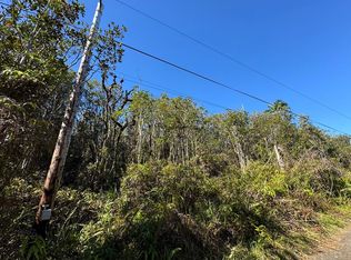 Road 5 LOT 3786, Kurtistown, HI 96760