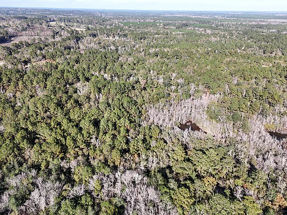 4th image of 160 Louie Miller Rd