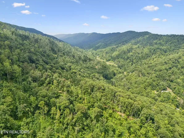 8075 Snake Hollow Rd, Sneedville, TN 37869