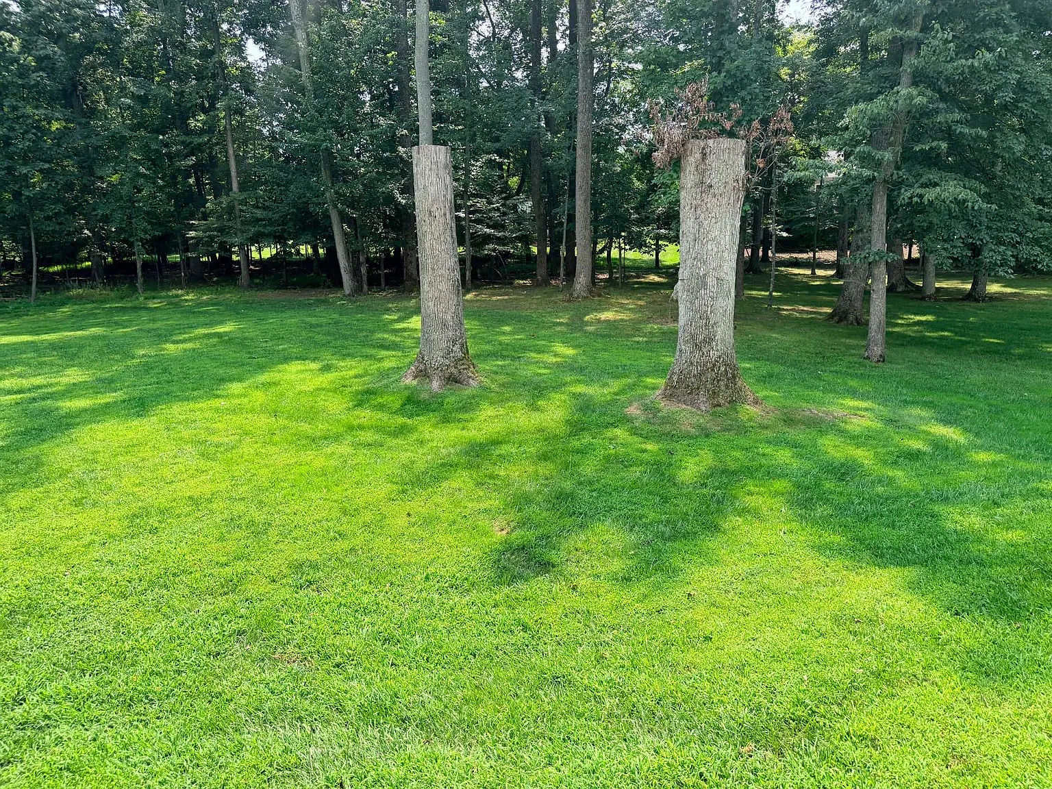 4 bed, 2648 sqft, $4,380 — Photo 3