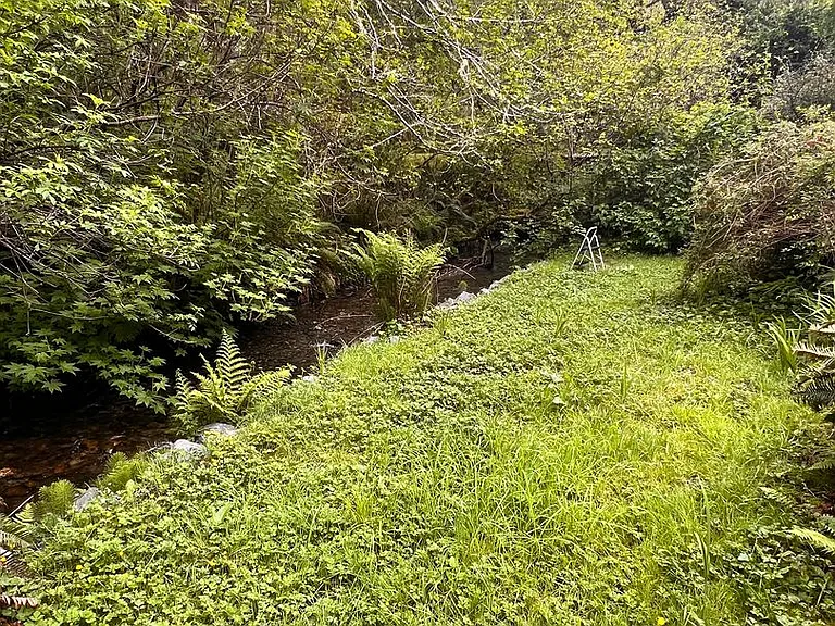 551 McDonald Creek Rd — Photo 37