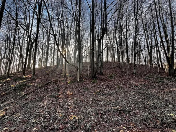 691 Crestrose Dr, Howard, OH 43028