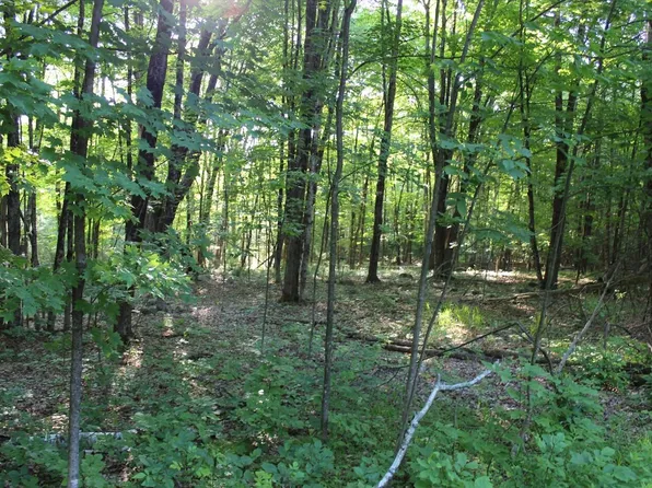 1404 N Gore Rd, Chestertown, NY 12817
