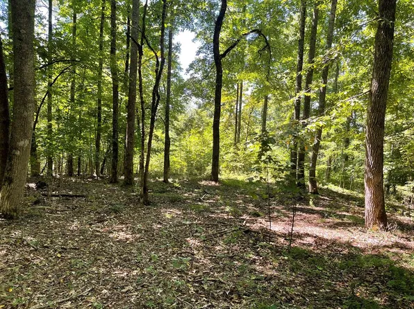 LOT 11-11B Grandview Dr, Hayesville, NC 28904