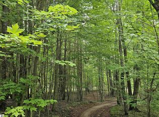 Canyon Rd, Leroy, MI 49655