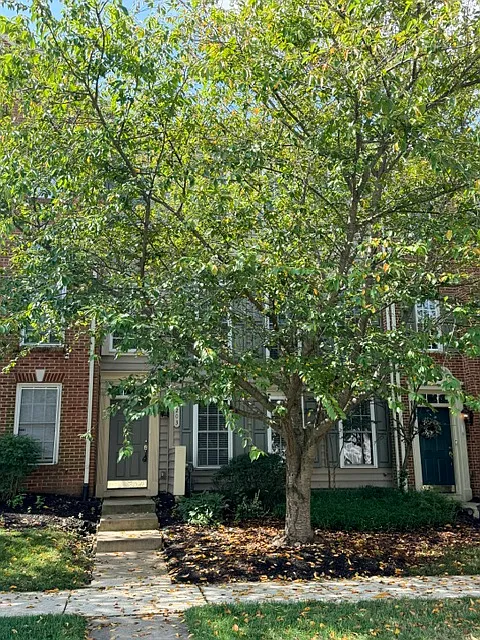 203 Altair Way