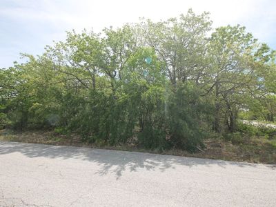 LOT 30 Parkers Ct, Bridgeport, TX, 76426