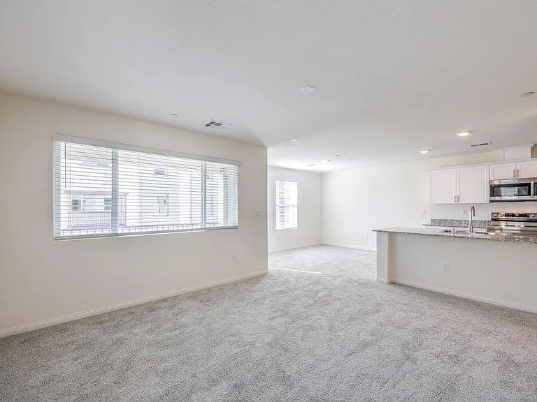 2666 Champagne Gold Ave — Photo 8