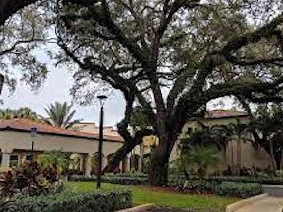 5th image of 9400 Live Oak Pl APT 408