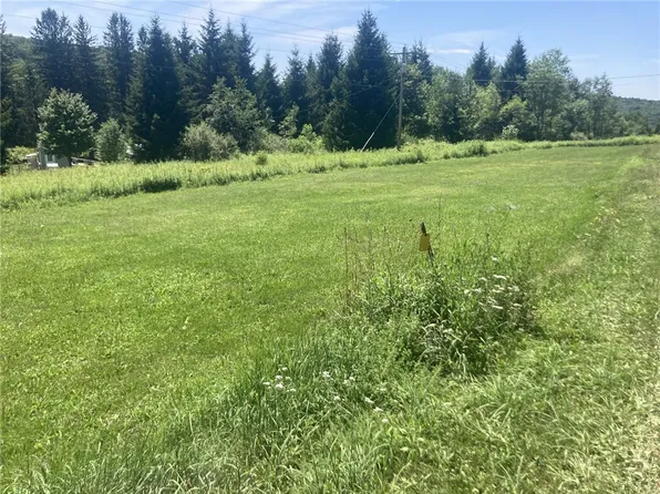 Route 206 Lot 4, Bainbridge, NY 13733