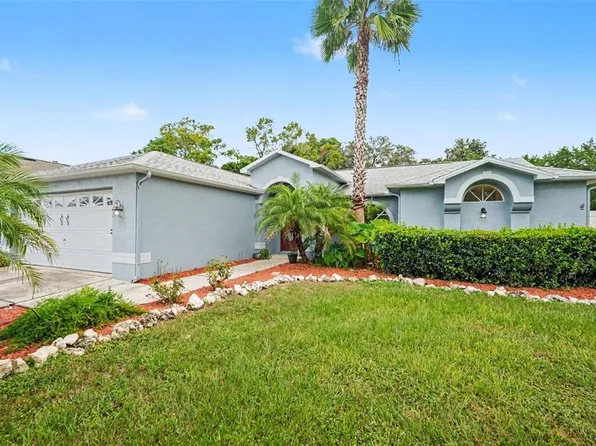 6293 GRAPEWOOD ROAD, SPRING HILL, FL 34609