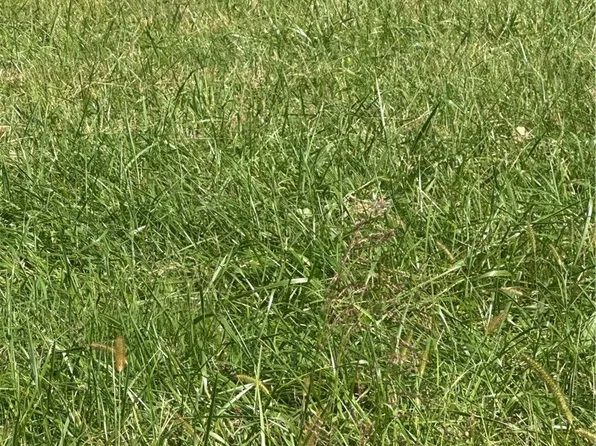 Lot 102 Parson Lane, North Wilkesboro, NC 28659