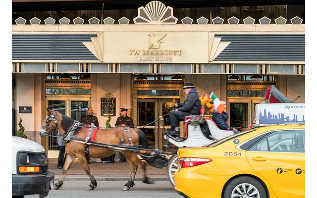 Rented by Douglas Elliman | media 14