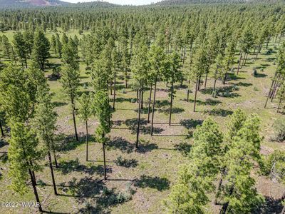 039D Gold Mine Dr, Lakeside, AZ, 85929