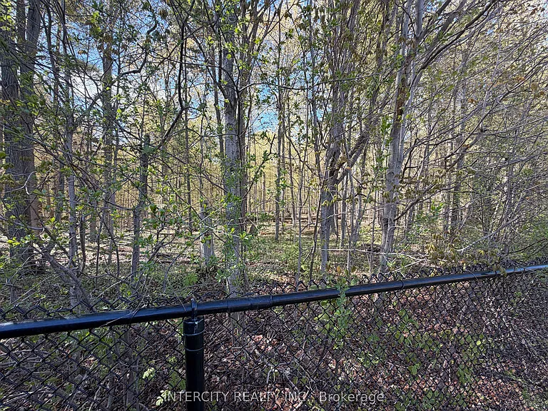 655 Davos Rd — Photo 39