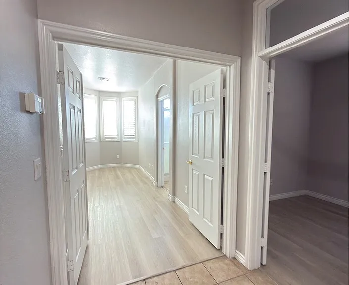 215 Animated Ct — Photo 24