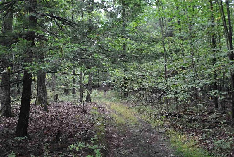 2nd image of 0 BOYCE Road