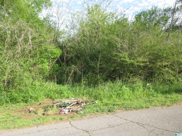 408 Raimund Ave Lot 6, Bessemer, AL 35020