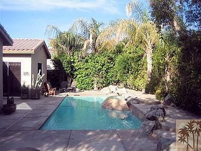 Another View of the Backyard