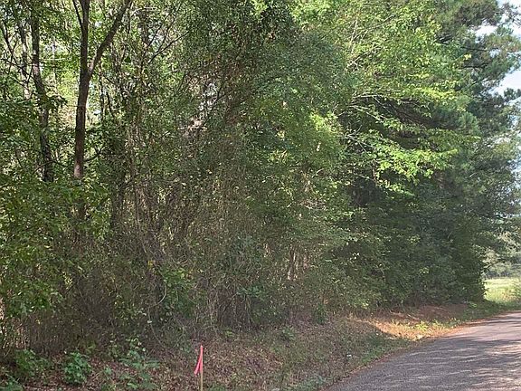 5th image of County Road 3906