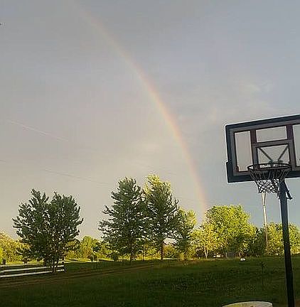 Back yard view