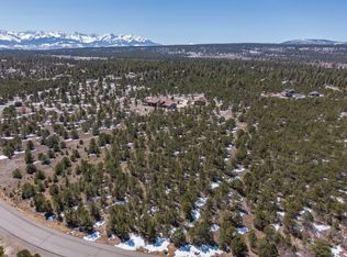 202 Fisher Canyon Dr, Ridgway, CO 81432
