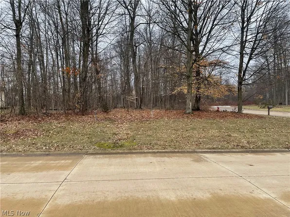 Stony Brook Ln, Wakeman, OH 44889