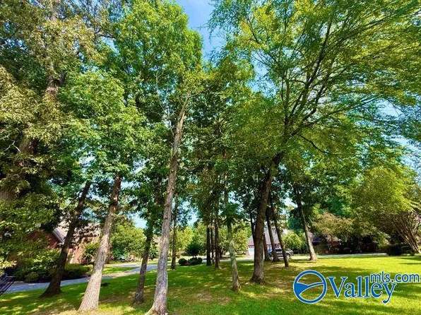 1551 Black Hall Ln SE, Decatur, AL 35601