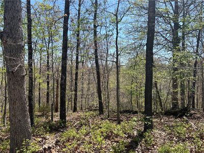 6 Devonshire Dr, Bella Vista, AR, 72715