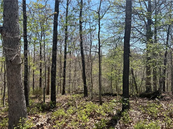 6 Devonshire Dr, Bella Vista, AR 72715